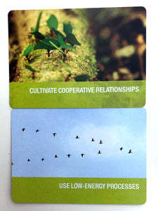 Biomimicry Leadership Cards - CODEPINK